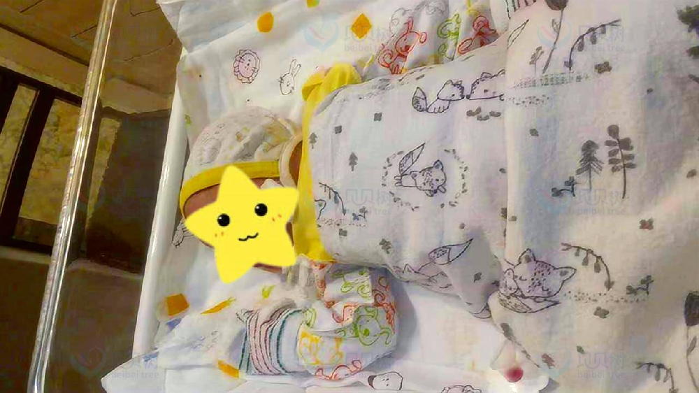 单身女性的冻卵之旅